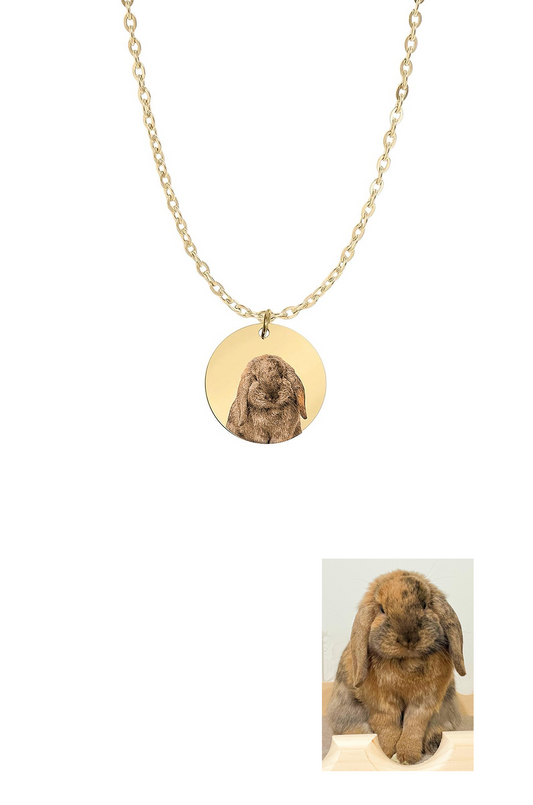 CUSTOM PET FACE COIN NECKLACE