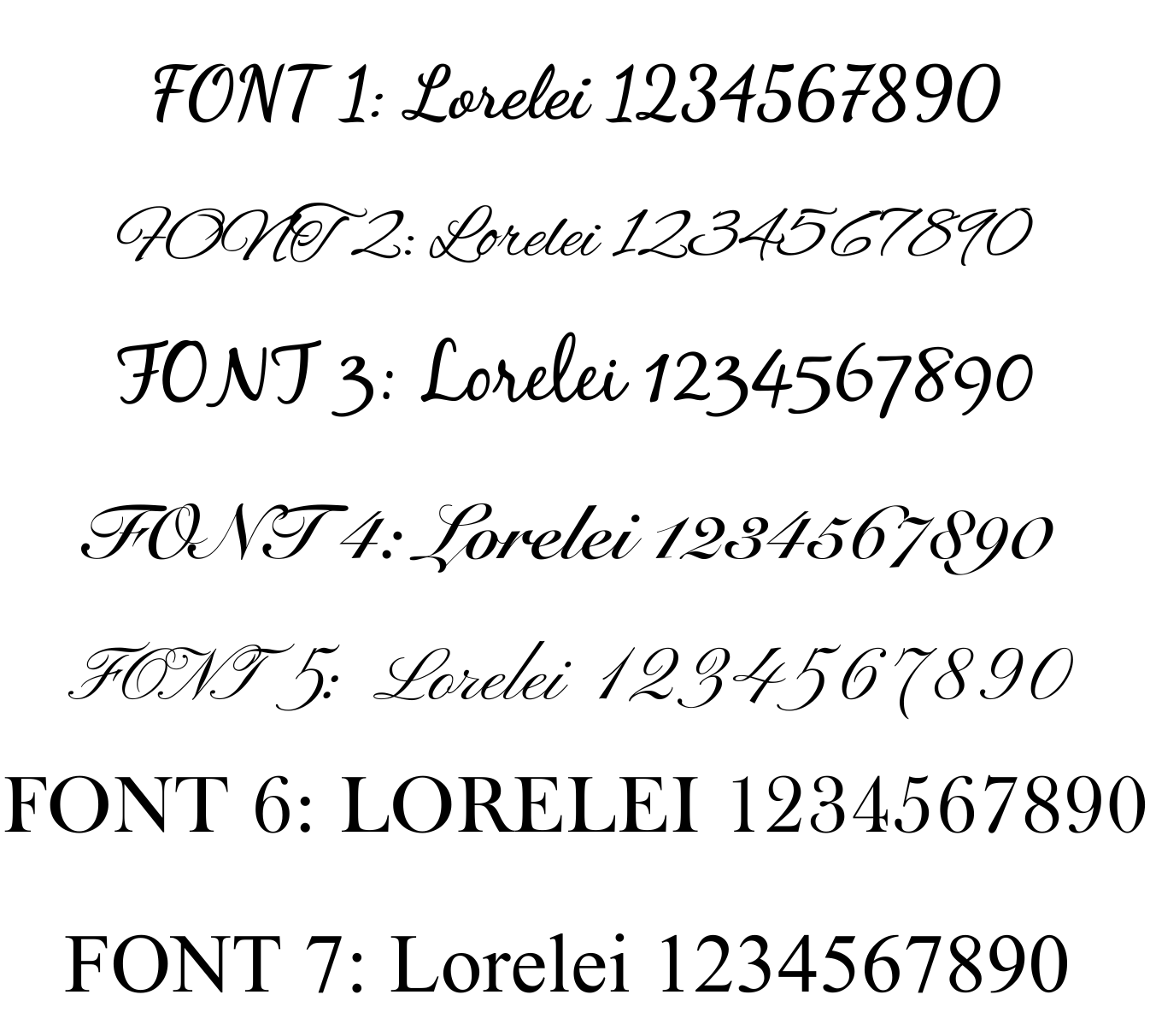 Custom Bone Dog Tag With CZ-Pet