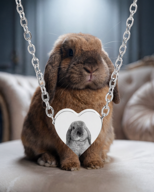 CUSTOM PET FACE HEART NECKLACE