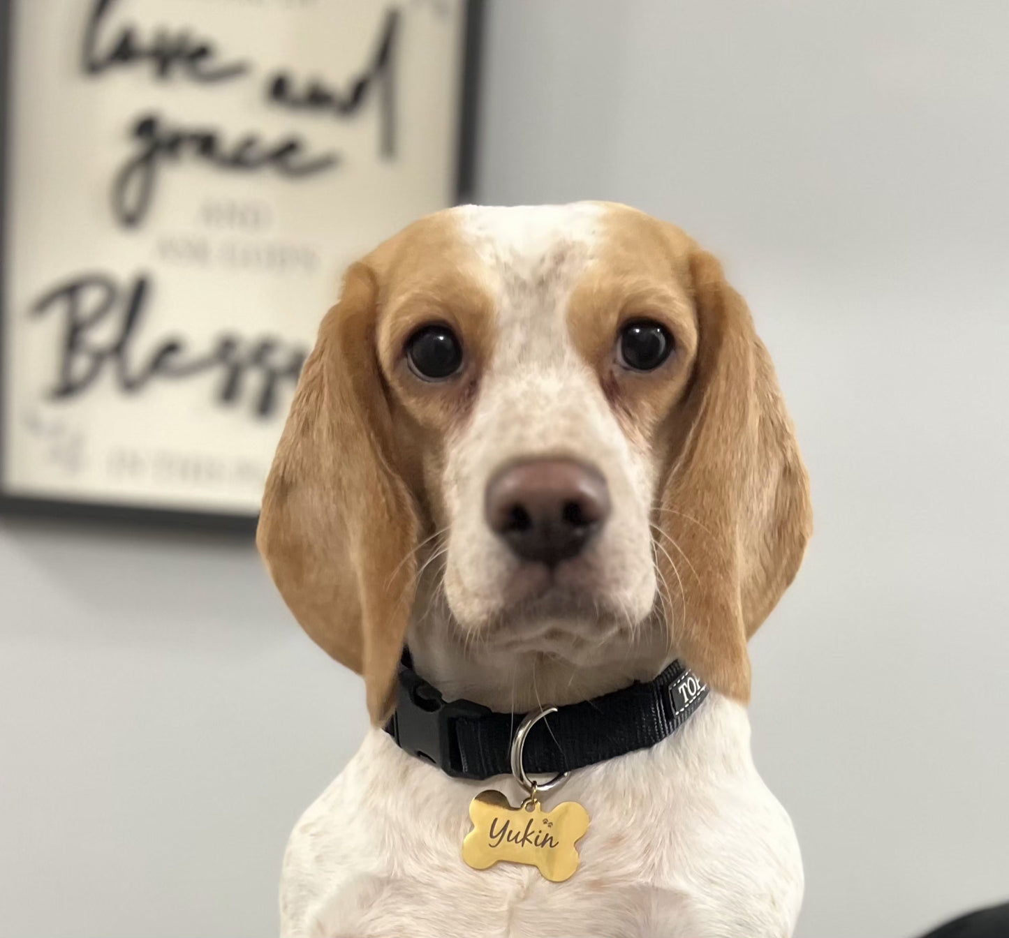 Custom Bone Dog Tag-Pet